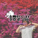 [일기] 송쁨 일기장 (스마일패스 수영기록 · 김펀치 ,,, 취화채 호로록 · 부산원정 수영 · 신라면에...