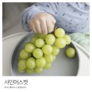 영희네 산지직송
