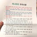DDR | 포텐자 다이아리프팅+DDR 후기 | 민감성 피부 경과