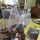 하빛율빠꿈사리 이미지