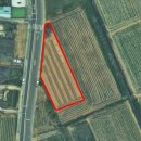 고령농장(2) 이미지