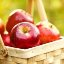 다이나믹짐 이미지