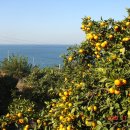 도동농장 이미지