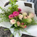 와이에스팜 이미지