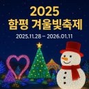 함평 겨울빛축제 2025✨ 밤이 더 아름다운 빛의 마법