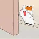 꼬마아토