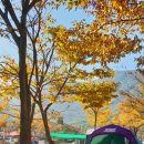 고흥2농장 이미지