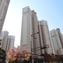 고운;유 이미지