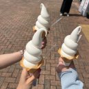 (주)보보소프트 | [일본/나고야] 마이리얼트립 나고야 근교 여행 다카야마 시라카와고 버스투어 엔데이트립 히다규카레빵...