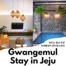 제주도 독채 펜션 제주 감성 숙소 풀빌라 추천 광이멀스테이