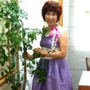 드림유치원 이미지