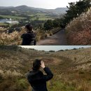 승리목장 | [제주 뷰맛집] 제주도 서쪽오름 “금오름”다녀온 후기〰️ 🏔️ 왕복시간,주차