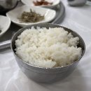 여수여행 1일차 돌산식당! 내돈내산 솔직후기! 오동통통 갈치속살이 부드러워요~