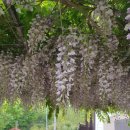 숲이좋아민박 이미지