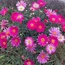 백 개의 아시아: 이야기를 통해 보는 아시아인의 삶과 지혜 | 심심해서책읽기 (595)다시, 역사의 쓸모(최태성/프런트페이지)