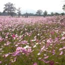 협성주유소 이미지