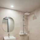 도그플러스 애견미용 이미지