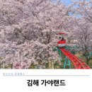 김해 가야랜드 하늘자전거 벚꽃터널, 입장권 할인 정보 및 빅5 놀이기구 이용후기