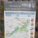 서리풀공원 이미지