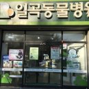 일곡동물병원 이미지