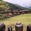 합천황토펜션숲 이미지