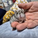 24시 애니동물병원 이미지