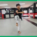 다부진 합기도 이미지