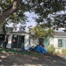 나무아래분식 이미지