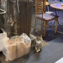 망월로 | [경기/의정부] 의정부 매운맛 맛집, 불향 제대로 살아있는 “팔달불오징어” 방문후기