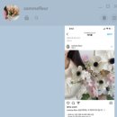꼼므플레르 이미지