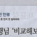 알파기획 Daum카페