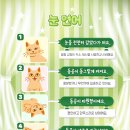 아리스타동물의료센터 이미지