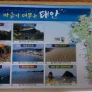 두바다찬솔 이미지