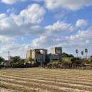 판포2060 이미지