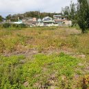 일반성면-1 이미지