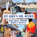 신평동1078 | 경주 애견(반려견)동반 당일치기 여행 (첨성대, 월정교, 도깨비 명당, 황남쫀드기, 황남옼수수)