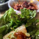 카페라인 이미지