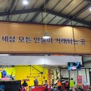 우리만물센터 | 용인 가볼만한 곳 추천 | 만물도깨비 경매장 득템 후기