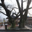 내서읍344 이미지