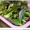 유명풍천장어 이미지