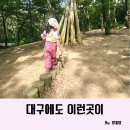 대구숲놀이터 비호동산 유아숲체험원 자연 모래까지 가능