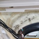 신의초등학교 이미지