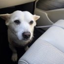 몽이네컷 이미지