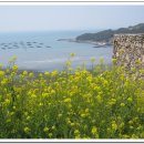 향-고향의 정 이미지