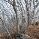 외연도둘레길 이미지