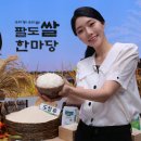 비전몰