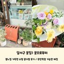 달서구 꽃집) 봄느낌 가득한 &#39;꽃으로부터&#39; 소형 꽃다발 후기 무인픽업 매장