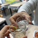 한나네활어 | 속초 대포항 회 횟집 맛집, 한나네 회센터(셋트말고, 회에집중 강추)