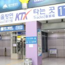 하로월드 이미지