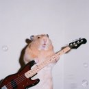 MAN 사우나 | 🎸 2025 펜타포트 - pentaport 3일 후기